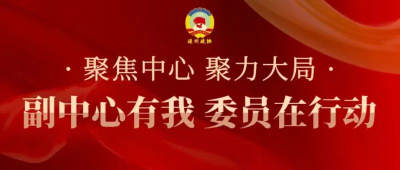 副中心有我 委员在行动①丨政协委员李玮：以双化协同为引擎 为副中心高质量发展谱写新篇章